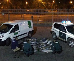 La Guardia Civil interviene 17 atunes rojos capturados ilegalmente en Vélez-Málaga